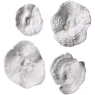 Uttermost - Sea Coral Wall Art - Set of 4 - 20170