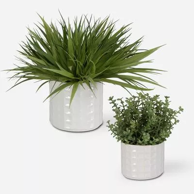 Uttermost - Set of 2 Edgewood Greenery - 60211