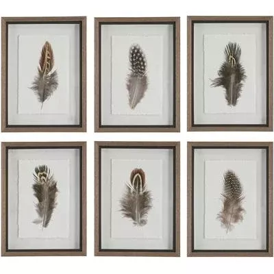 Uttermost - Set of 6 Birds of a Feather Framed Prints - 41460