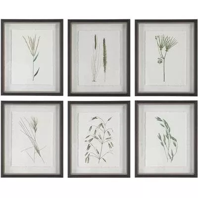 Uttermost - Set of 6 Forest Finds Framed Prints - 41459