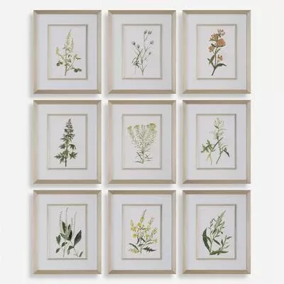 Uttermost - Set of 9 Botanical Flowers Framed Prints - 32339