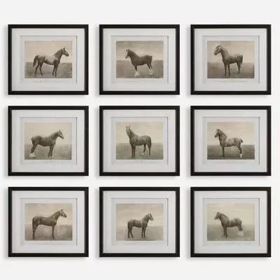 Uttermost - Set of 9 Equine Dynasty Framed Prints - 32343