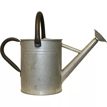 Watering Can, Distressed Galvanized Finish, 1-Gallon