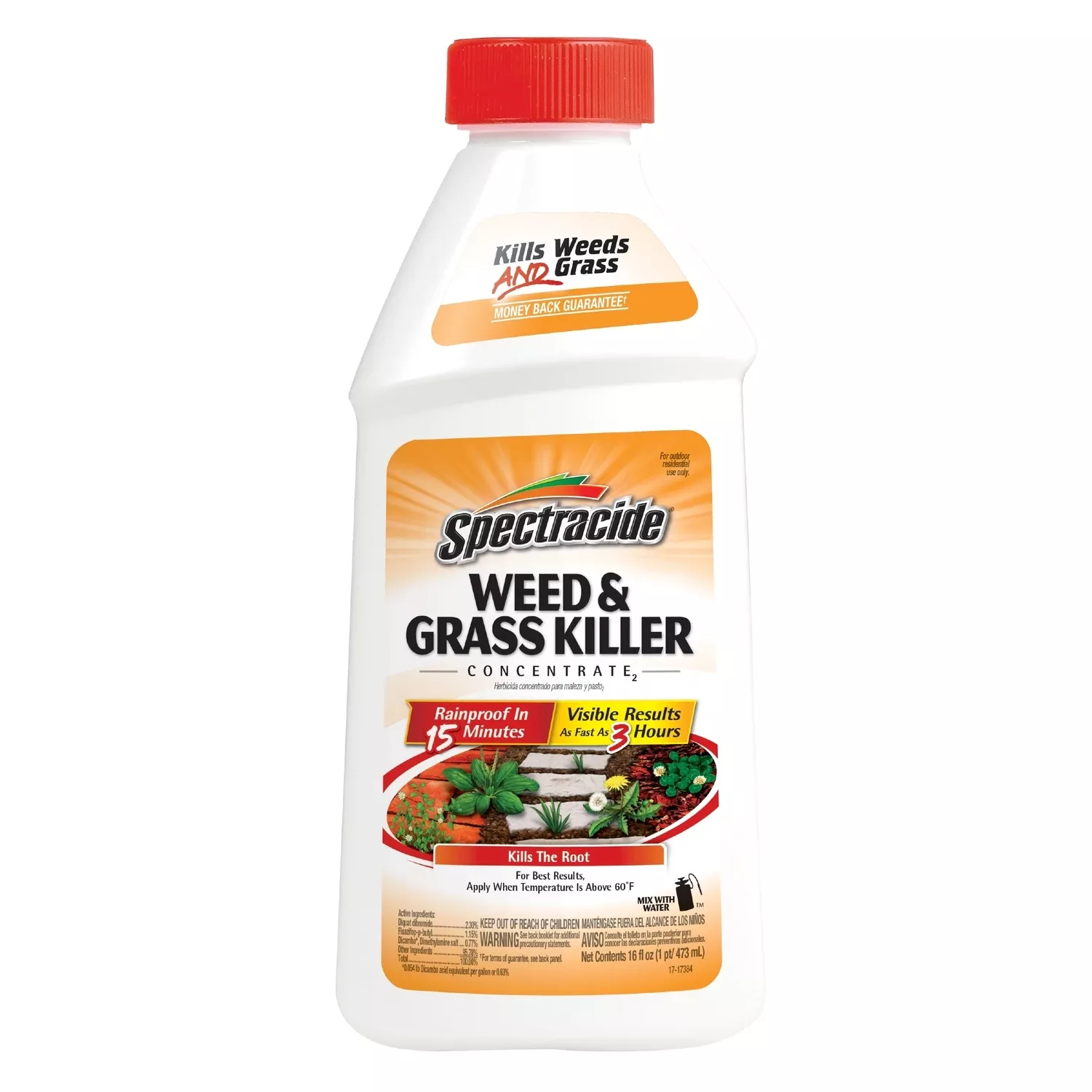 Weed & Grass Killer, 16-oz. Concentrate