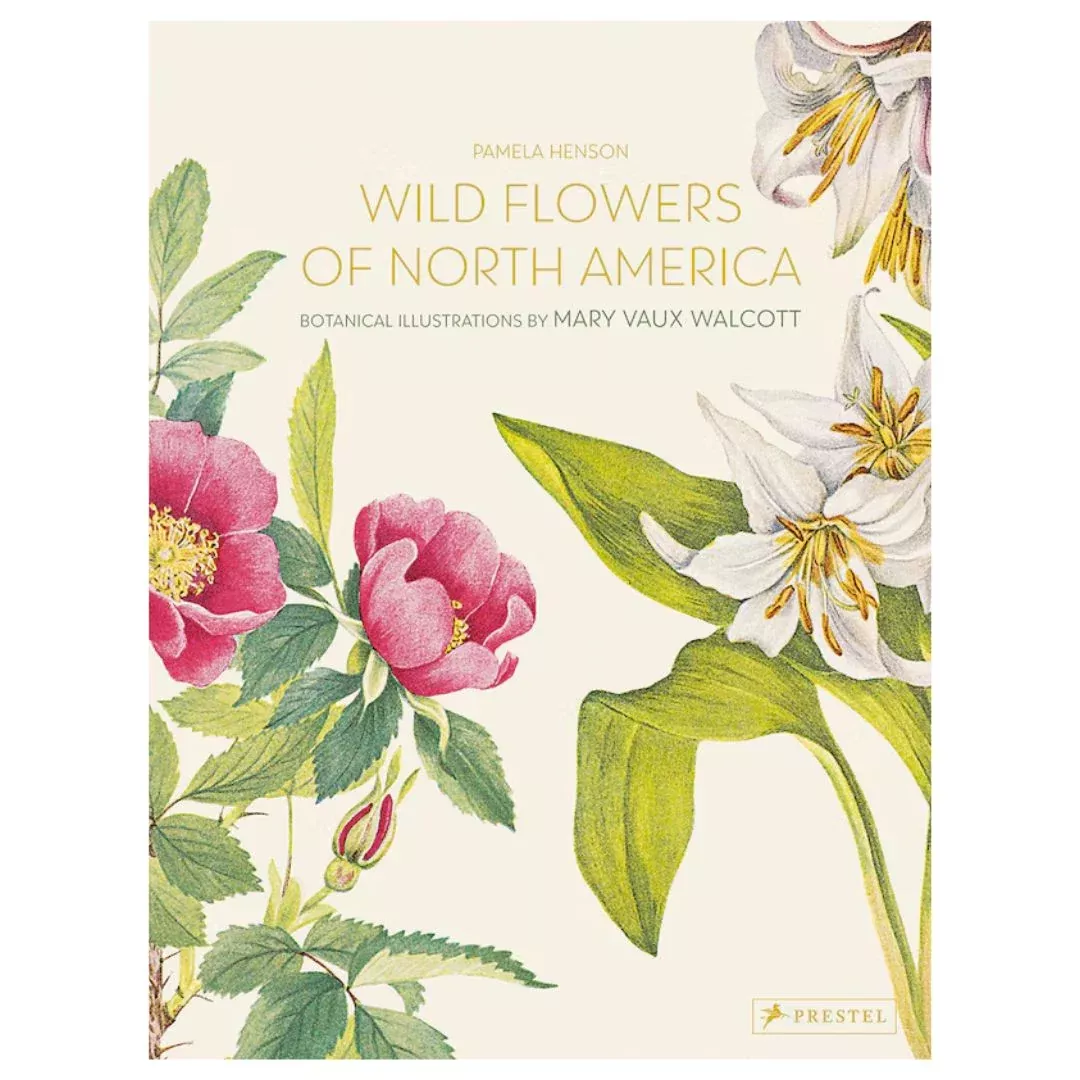 Wild Flowers Of North America: Botanical Illustrations
